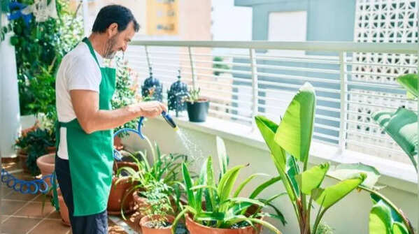 Water your plants appropriately