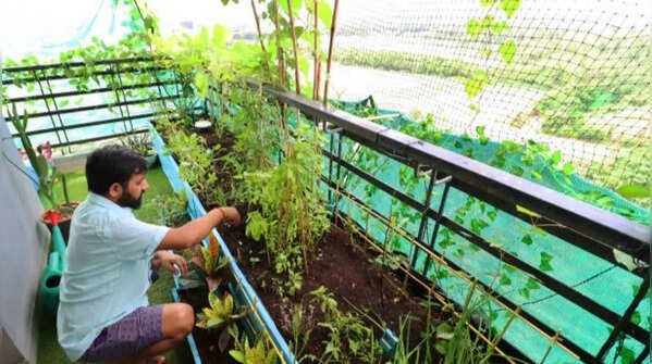Start with easy-to-grow plants