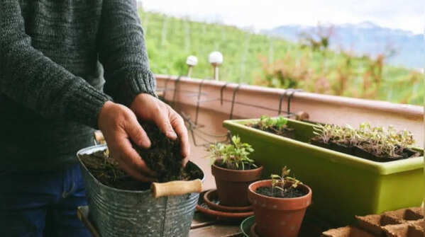 Prepare soil mix in advance