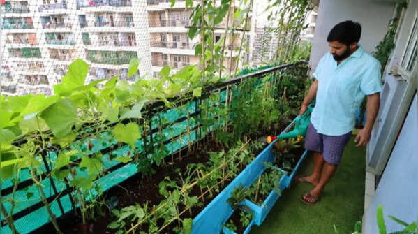 Get appropriate planting containers