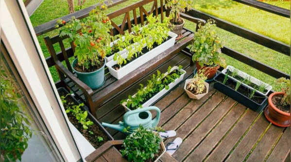 Assess your terrace conditions