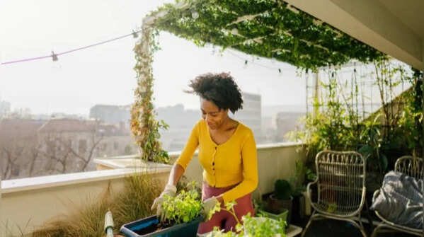 How to start a terrace garden: 7 Simple tips
