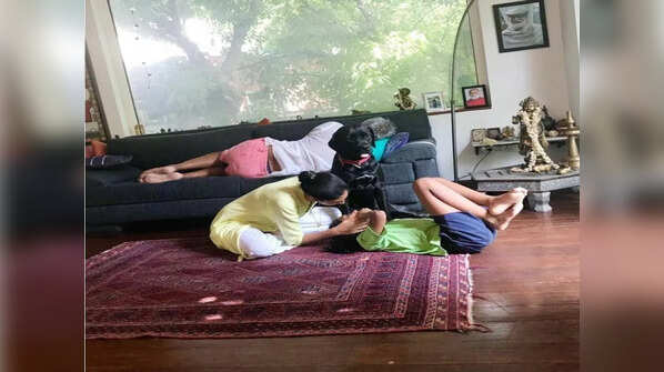 Living spaces with fam jam