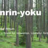 Article image for: Shinrin-Yoku: The healing power of nature