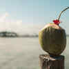 Article image for: <i class="tbold">coconut water</i>