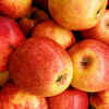 Article image for: <i class="tbold">Apple</i>s