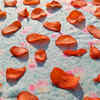 Article image for: Chips