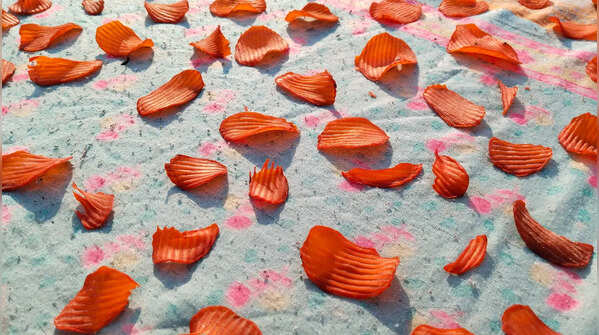 Chips