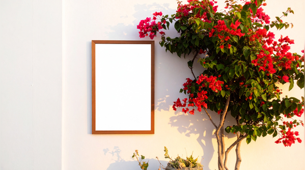 Why sunlight matters more than anything