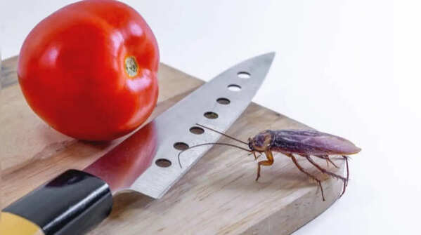 Clean your kitchen