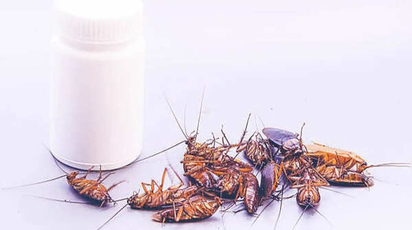 Peppermint oil