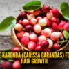 Article image for: Karonda (Carissa carandas) for hair: Simple ways to use it for better growth