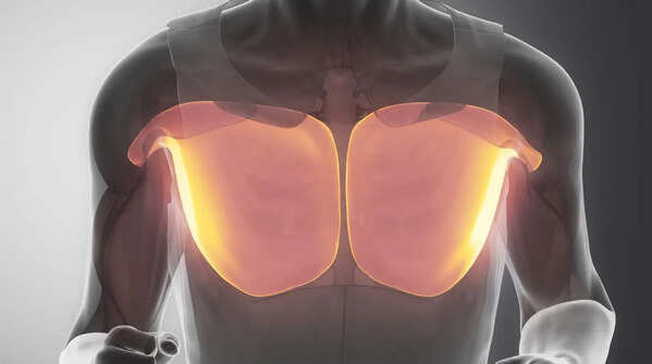 Pectoralis Major