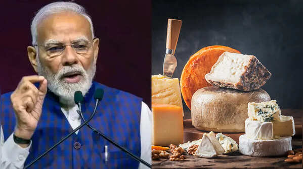 The intricate world of Indian cheese no one told you about