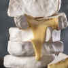 Article image for: Brie-style cheese