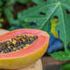 Article image for: Cut the fruit and check
