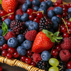Berries: Small fruits, strong protection