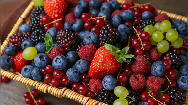 Berries: Small fruits, strong protection