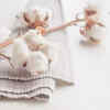 Cotton