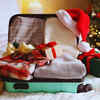 Wrapped gifts