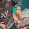Article image for: Migrant worker sparks panic after carrying snake in pocket in Malappuram
