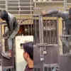 Article image for: Break-in ends between bars: Thief gets caught in iron grille gap of Ghaziabad house