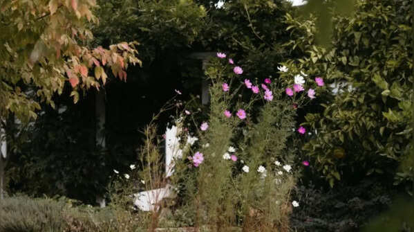 Outdoor life: Pool, garden, and nature’s balm