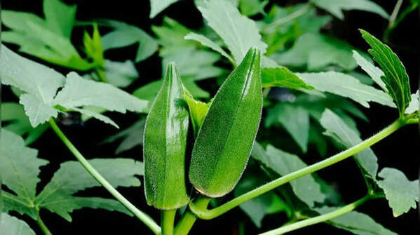 Fertilization and harvesting