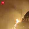 Article image for: Uttarakhand Forest Fires: 20 Incidents Reported In Rudraprayag, 15 Hectares Affected