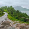 Article image for: Tamhini Ghat – The <i class="tbold">monsoon</i> road trip dream