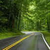 Interstate 90 (≈ 4,990 km / 3,100 miles)