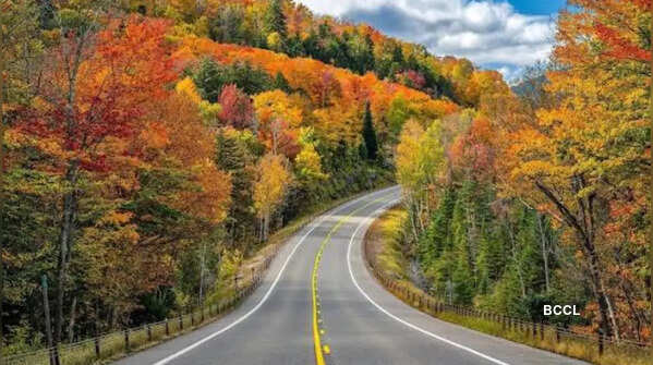 Asian Highway 1 (≈ 20,557 km / 12,774 miles)