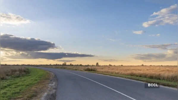 Pan-American Highway (≈ 30,000 km / 19,000 miles)
