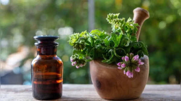 Essential oils are natural insect repellents