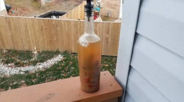 The vinegar mixture keeps pests away