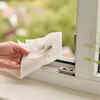 7 natural ways to remove pests from home and garden