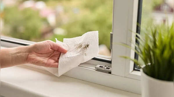 Cleanliness prevents pests from coming in