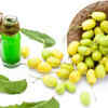 Article image for: Neem oil is effective against pests