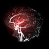 Medical experts consulted