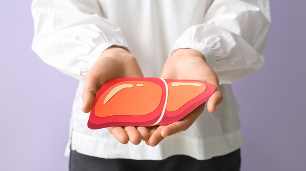 Liver: The silent worker that needs protection