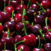 Article image for: <i class="tbold">9</i>. Cherries