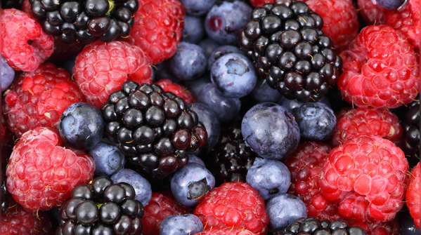 1. Berries