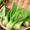 Article image for: Pak choi – small-space vegetable