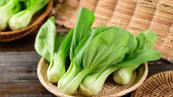 Pak choi – small-space vegetable