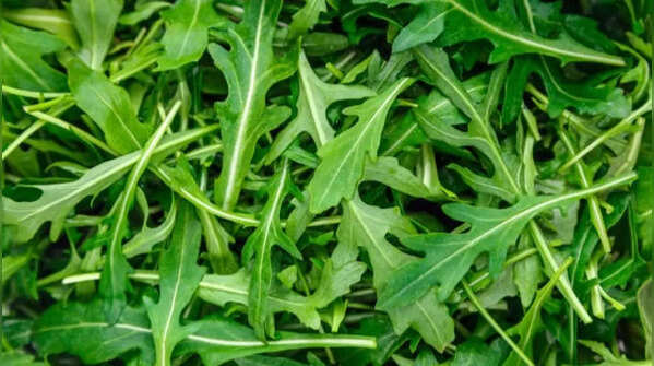 Rocket (Arugula) – fast-growing leafy green