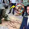 Article image for: Crude bombs recovered in Bengal trigger EC anti-terror probe ahead of Phase 2 voting