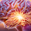 Movement is brain fuel, not a luxury