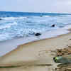 Article image for: Chennai Coast, <i class="tbold">Tamil Nadu</i>