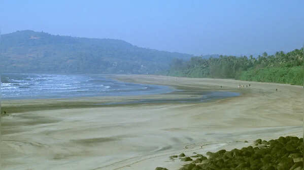 Velas Beach, Maharashtra
