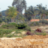Article image for: Farmers urge forest dept to find permanent solution to elephant scare near Krishnagiri